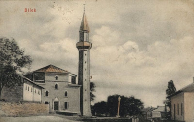 DJELATNOST IVZ BILEĆE 