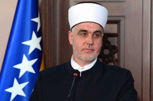 REIS KAVAZOVIĆ: BILI SMO ZA GRAĐANSKI POPIS, ALI POLITIČKE SNAGE U BIH ŽELE TOROVE
