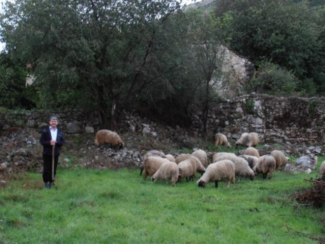 Izvje&scaron;taj o akciji klanja kurbana u Medžlisu Trebinje