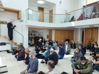 livno2