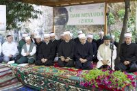 IMG_8274_kopija