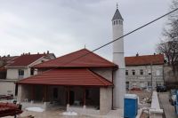IMG_0225