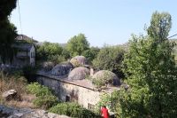 IMG_5459