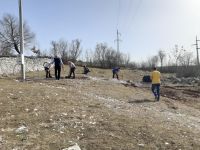 IMG-20210224-WA0002